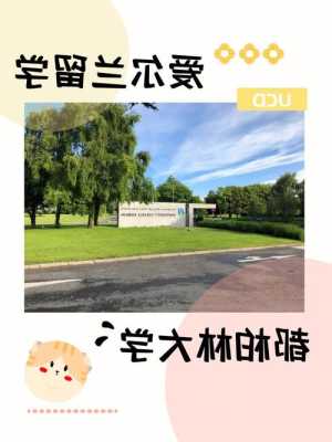 爱尔兰留学英语怎么样