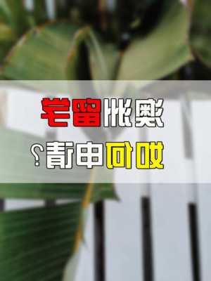 去澳洲留学需要准备什么条件