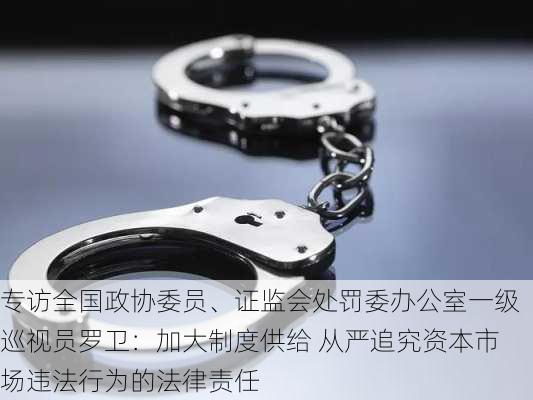 专访全国政协委员、证监会处罚委办公室一级巡视员罗卫：加大制度供给 从严追究资本市场违法行为的法律责任