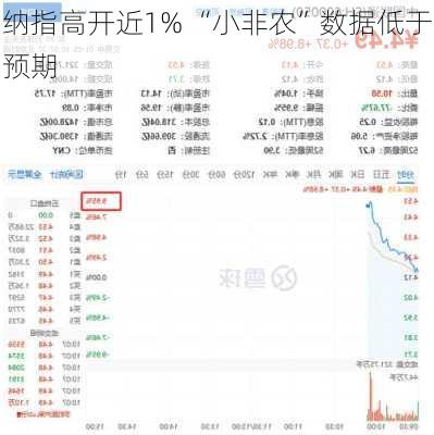 纳指高开近1% “小非农”数据低于预期