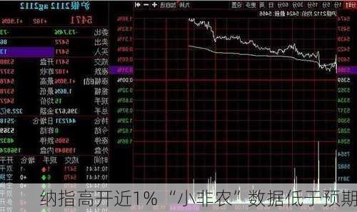 纳指高开近1% “小非农”数据低于预期