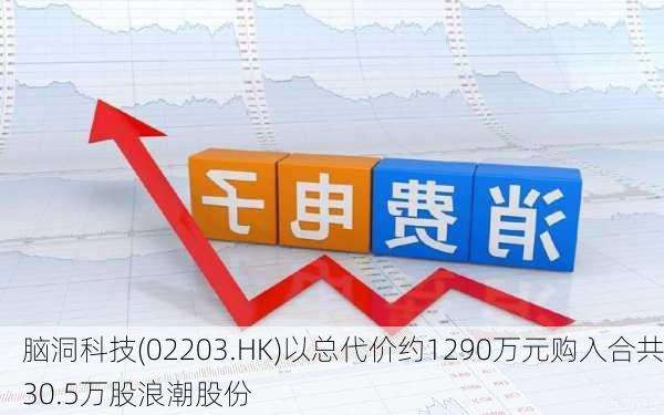 脑洞科技(02203.HK)以总代价约1290万元购入合共30.5万股浪潮股份