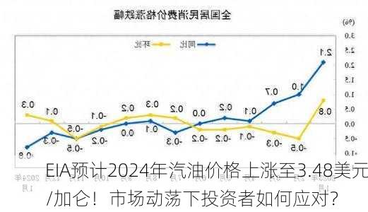 EIA预计2024年汽油价格上涨至3.48美元/加仑！市场动荡下投资者如何应对？