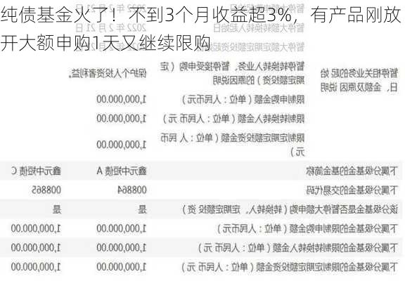 纯债基金火了！不到3个月收益超3%，有产品刚放开大额申购1天又继续限购