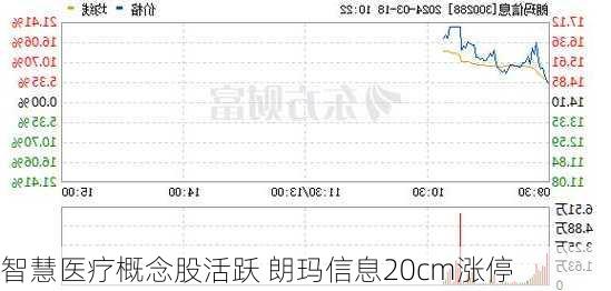 智慧医疗概念股活跃 朗玛信息20cm涨停