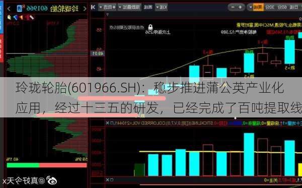 玲珑轮胎(601966.SH)：稳步推进蒲公英产业化应用，经过十三五的研发，已经完成了百吨提取线