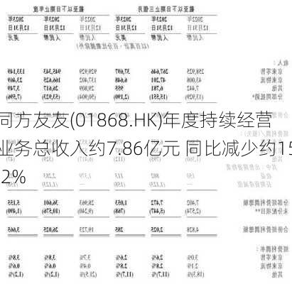 同方友友(01868.HK)年度持续经营业务总收入约7.86亿元 同比减少约15.2%