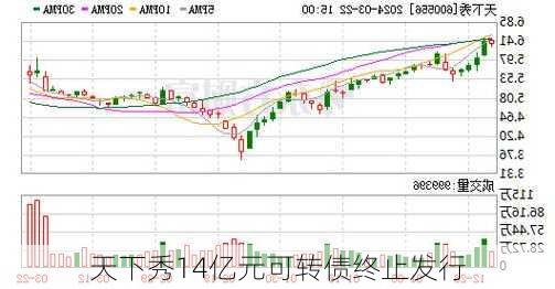 天下秀14亿元可转债终止发行