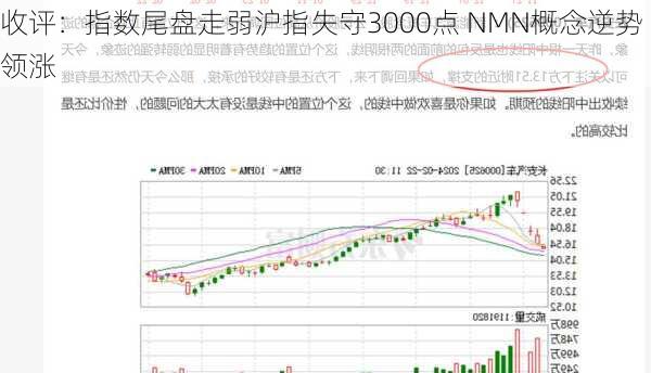 收评：指数尾盘走弱沪指失守3000点 NMN概念逆势领涨