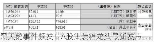 黑天鹅事件频发！A股集装箱龙头最新发声