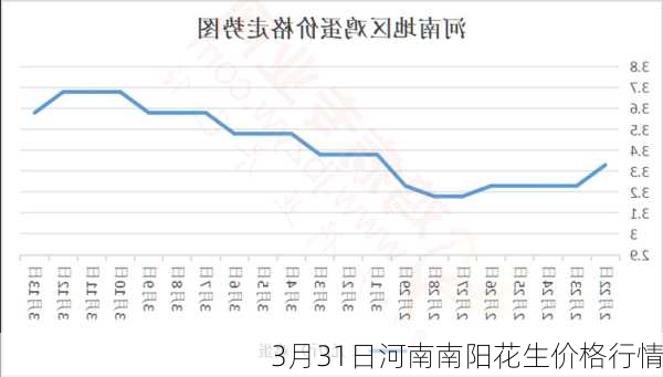 3月31日河南南阳花生价格行情