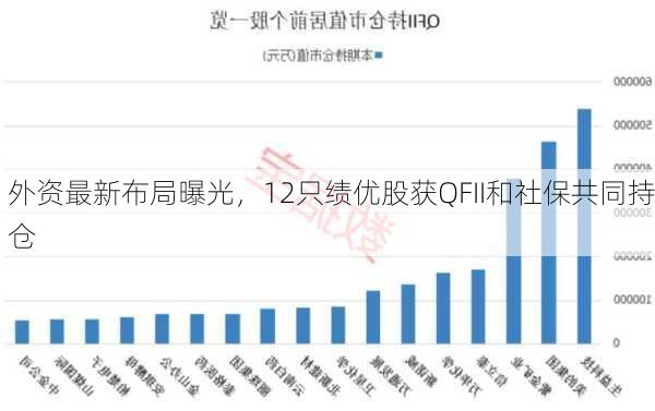 外资最新布局曝光，12只绩优股获QFII和社保共同持仓