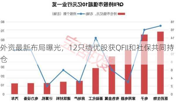 外资最新布局曝光，12只绩优股获QFII和社保共同持仓