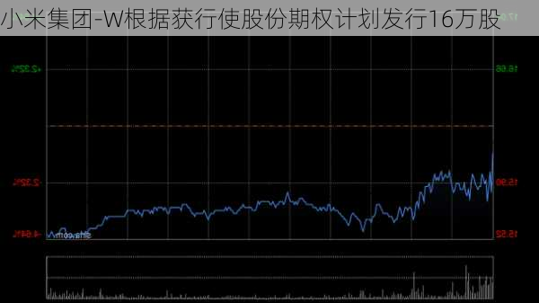 小米集团-W根据获行使股份期权计划发行16万股