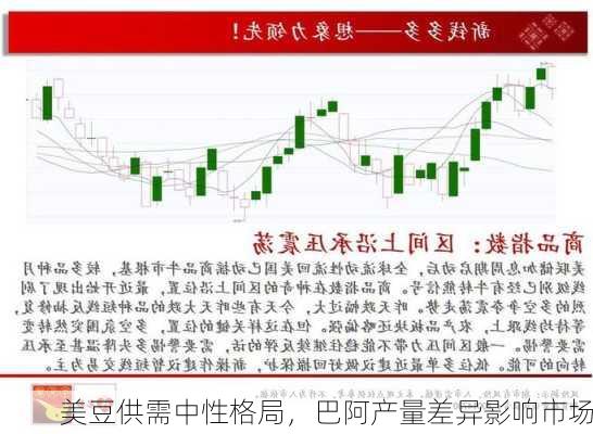 美豆供需中性格局，巴阿产量差异影响市场