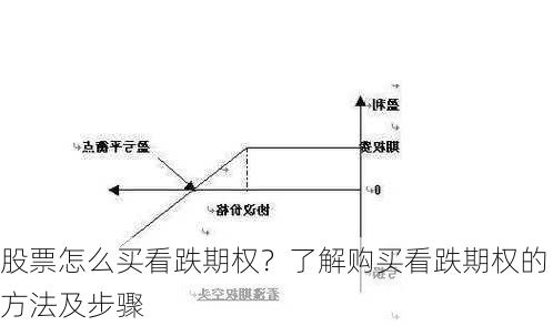 股票怎么买看跌期权？了解购买看跌期权的方法及步骤