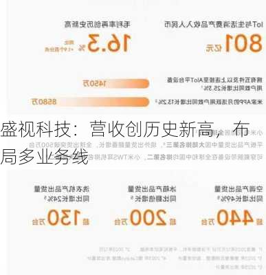 盛视科技：营收创历史新高，布局多业务线