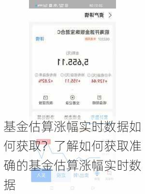 基金估算涨幅实时数据如何获取？了解如何获取准确的基金估算涨幅实时数据