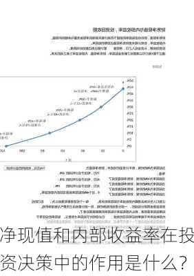 净现值和内部收益率在投资决策中的作用是什么？