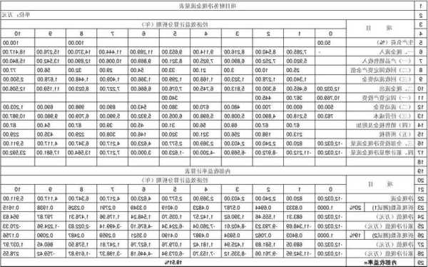 内部收益率的计算与资本预算：内部收益率的计算与投资回报