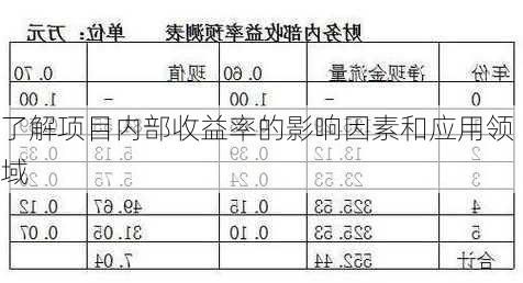 了解项目内部收益率的影响因素和应用领域