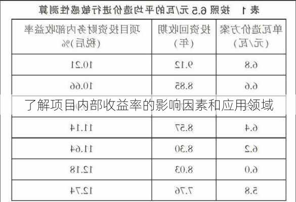 了解项目内部收益率的影响因素和应用领域