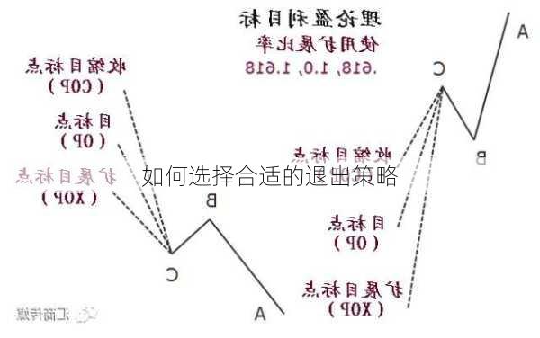 如何选择合适的退出策略