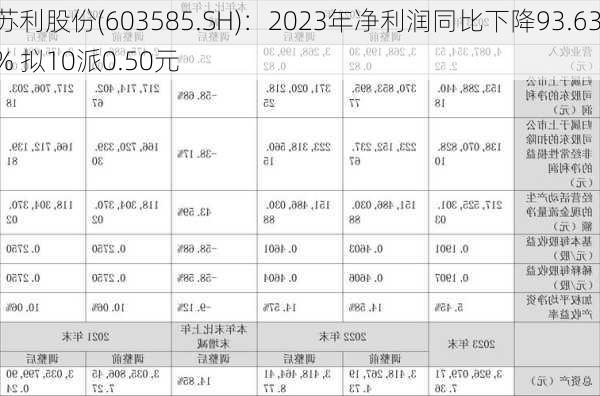 苏利股份(603585.SH)：2023年净利润同比下降93.63% 拟10派0.50元