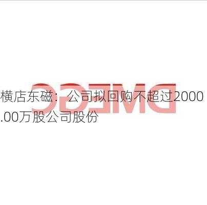 横店东磁：公司拟回购不超过2000.00万股公司股份