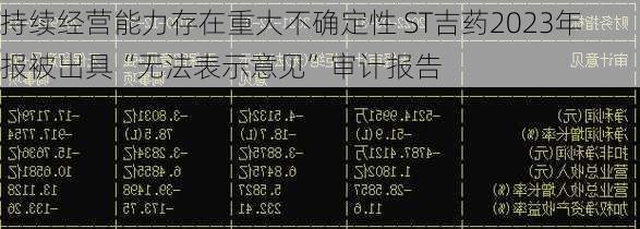 持续经营能力存在重大不确定性 ST吉药2023年报被出具“无法表示意见”审计报告