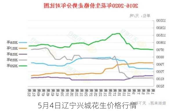 5月4日辽宁兴城花生价格行情