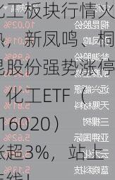 化工板块行情火热，新凤鸣、桐昆股份强势涨停！化工ETF（516020）涨超3%，站上年线！