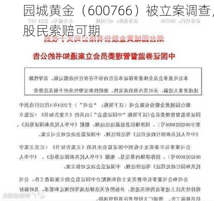 园城黄金（600766）被立案调查，股民索赔可期