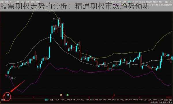 股票期权走势的分析：精通期权市场趋势预测