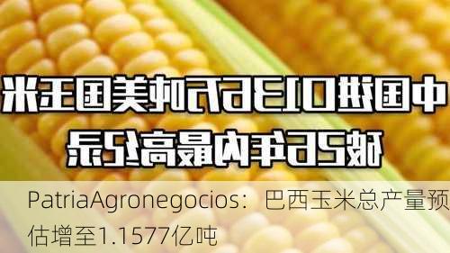 PatriaAgronegocios：巴西玉米总产量预估增至1.1577亿吨