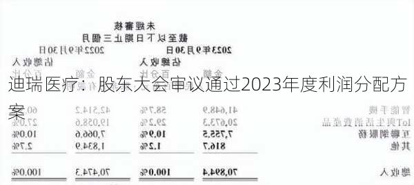 迪瑞医疗：股东大会审议通过2023年度利润分配方案