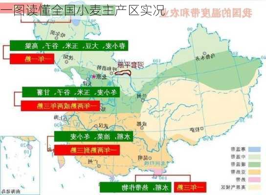 一图读懂全国小麦主产区实况