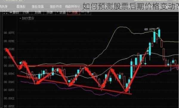 如何预测股票后期价格变动？