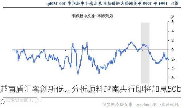 越南盾汇率创新低，分析师料越南央行即将加息50bp