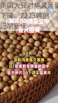 美国大豆对华装运量下降：7223吨创近期新低