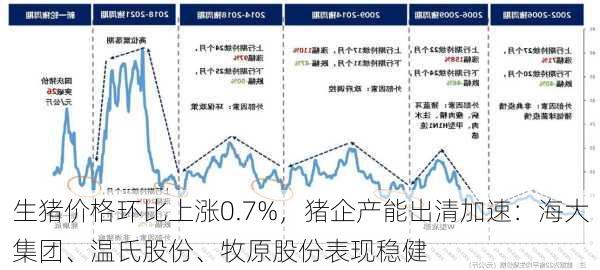 生猪价格环比上涨0.7%，猪企产能出清加速：海大集团、温氏股份、牧原股份表现稳健