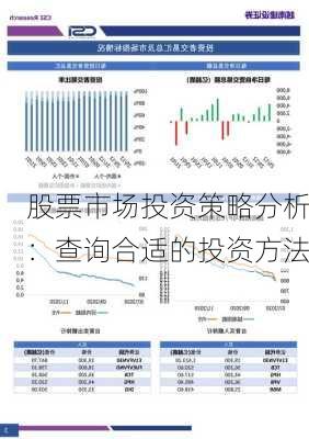 股票市场投资策略分析：查询合适的投资方法