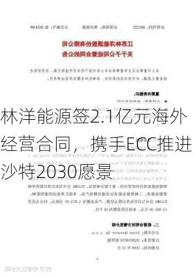 林洋能源签2.1亿元海外经营合同，携手ECC推进沙特2030愿景