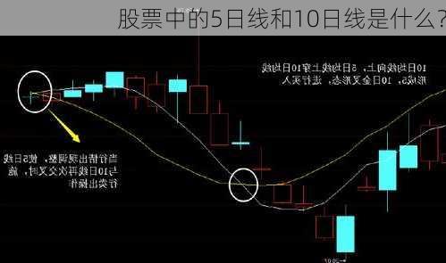 股票中的5日线和10日线是什么？