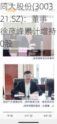 同大股份(300321.SZ)：董事徐彦峰累计增持100股