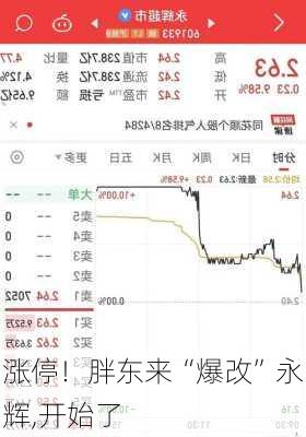 涨停！胖东来“爆改”永辉,开始了