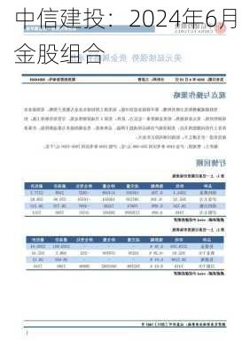 中信建投：2024年6月金股组合