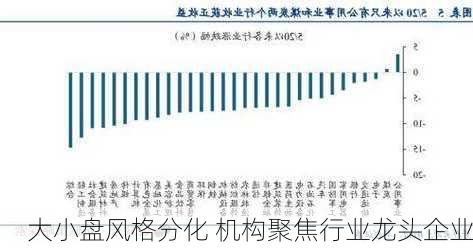 大小盘风格分化 机构聚焦行业龙头企业