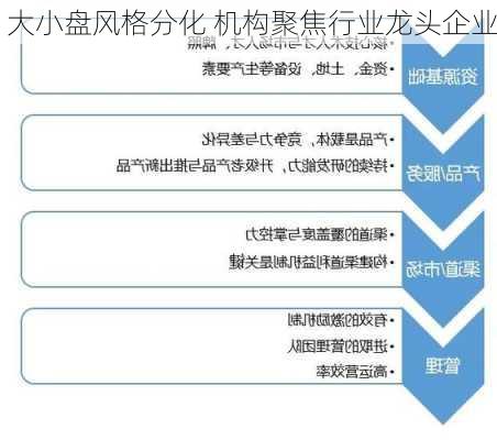 大小盘风格分化 机构聚焦行业龙头企业