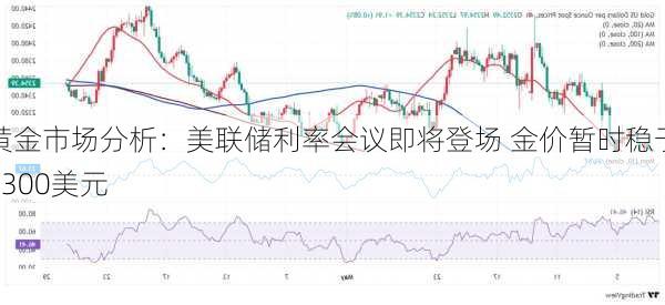 黄金市场分析：美联储利率会议即将登场 金价暂时稳于2300美元